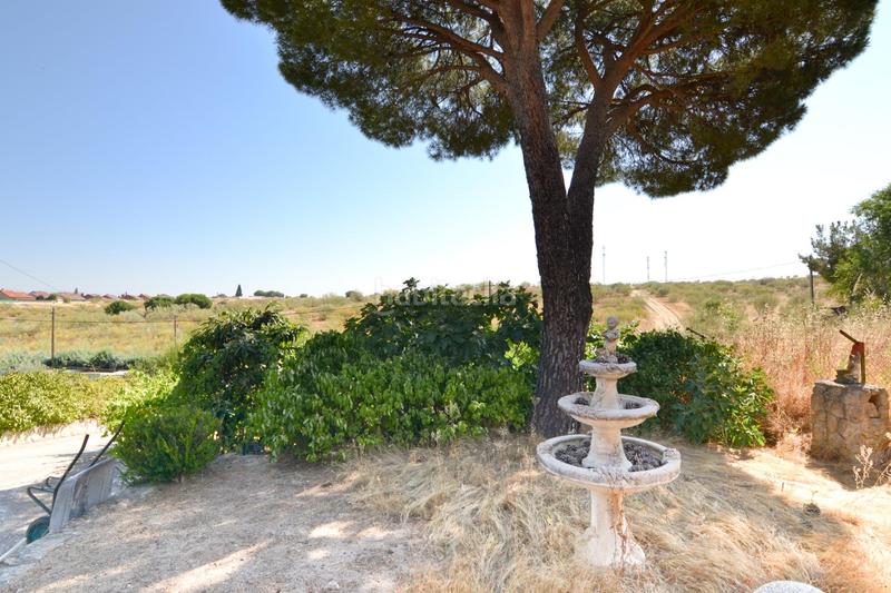 Foto 71a6174f-803b-4332-bd7e-832cfbdfd684. Xalet amb aparcament a Quijorna