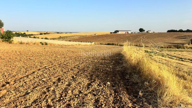 Foto 4b623a06-9ed5-4607-b757-520a9fc74796. Fondo rustico in Urb. Calypo Navalcarnero