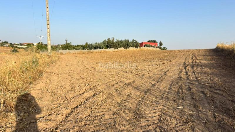 Foto 2854b84b-25c0-4f8c-991f-4ce80ad33e29. Finca rústica a Urb. Calypo Navalcarnero