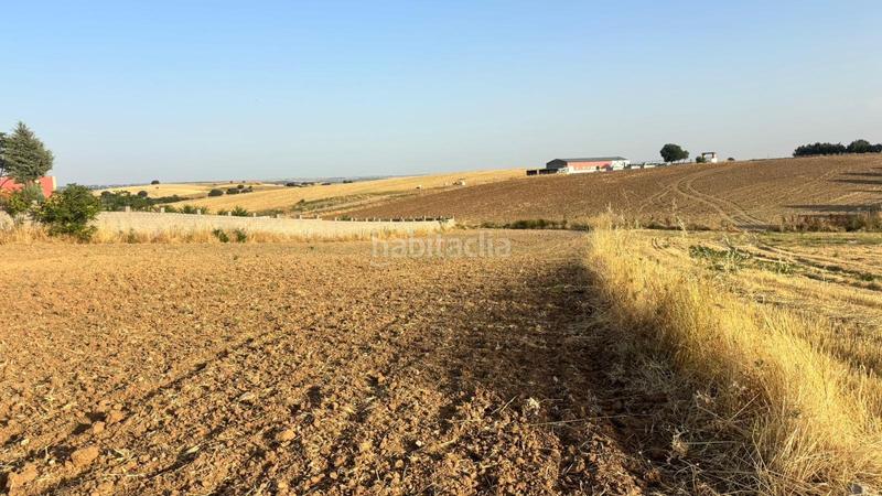 Foto 5e375ec1-aec3-485d-b029-1d877a0080d8. Finca rústica a Urb. Calypo Navalcarnero