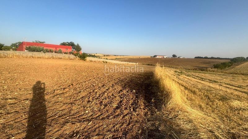 Foto 8043a70d-bf51-4d67-ab1f-2369ff4eece5. Finca rústica en Urb. Calypo Navalcarnero