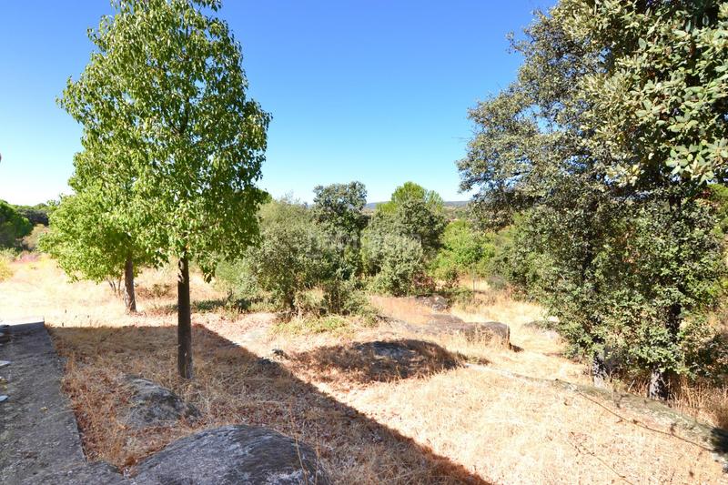 Foto 016da3a8-cb59-4b45-9677-220afd830c07. Masía en camino Almorox en Almorox