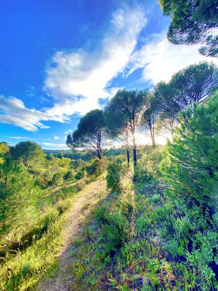 Foto 481b1547-2a16-499e-8370-ebeec6ec4497. Masía en camino Almorox en Almorox