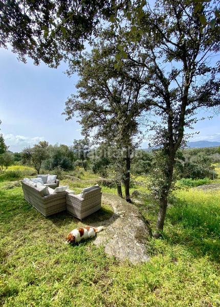 Foto 871c3f3f-a672-4099-b985-d944a4460cf4. Masía en camino Almorox en Almorox