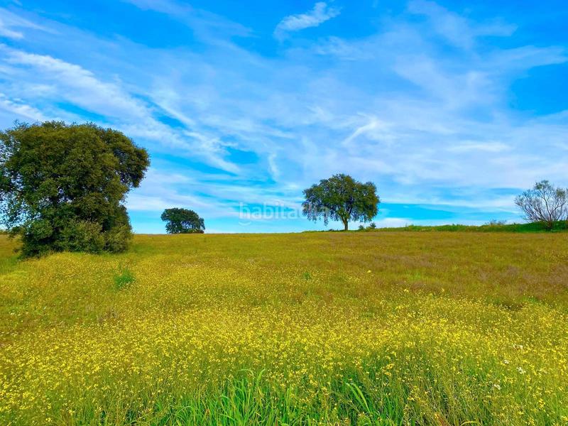 Foto 90f1828b-af48-482d-bd87-aae88f9cd0eb. Masía en camino Almorox en Almorox