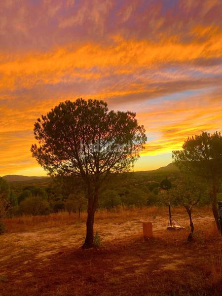 Foto ae0ce28f-2eae-415a-b3ae-fd8e7c65a2d9. Masía en camino Almorox en Almorox