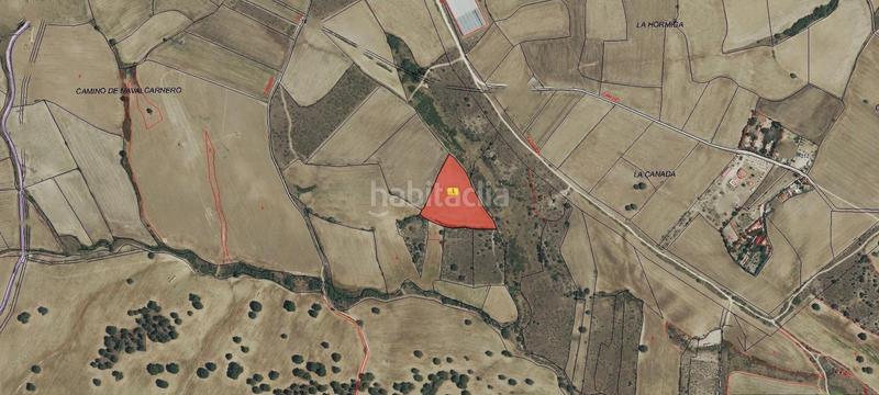 Foto 510e0c6f-9f37-48d4-8225-b41fe4268f79. Finca rústica a camino sacedón a Brunete