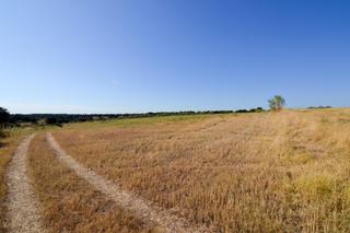 Rural plot in Camino sacedón