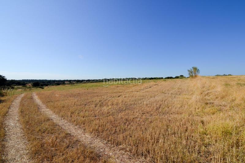 Foto a982b14a-4091-4977-90b9-491f986c5274. Finca rústica en camino sacedón en Brunete