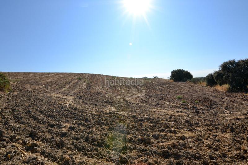 Foto 10ba8b61-94b4-47db-8478-75a8113dc735. Finca rústica en camino sacedón en Brunete