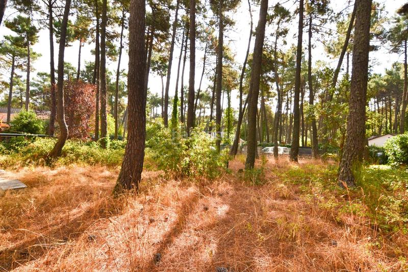 Foto 5739b535-2b33-458a-ad5d-799ca60880d9. Chalet magnífico chalet independiente en Cadalso de los Vidrios