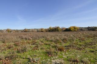Rural plot  Camino toledano