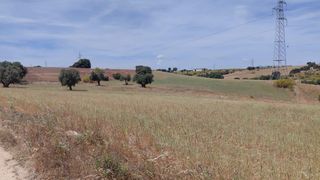 Rural plot  Calle m-530