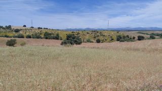 Rural plot in Villamanta