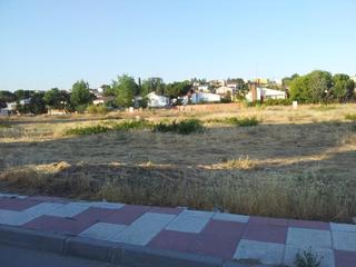 Residential Plot in Calle de los olivos 40. ¡¡¡oportunidad magnífico solar residencial ubicado en el álamo!!