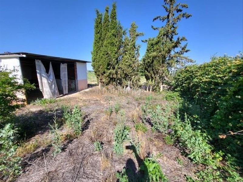 Foto 63429e05-d6d3-4962-82a8-beda5ae9777e. Casa in Argamasilla de Calatrava