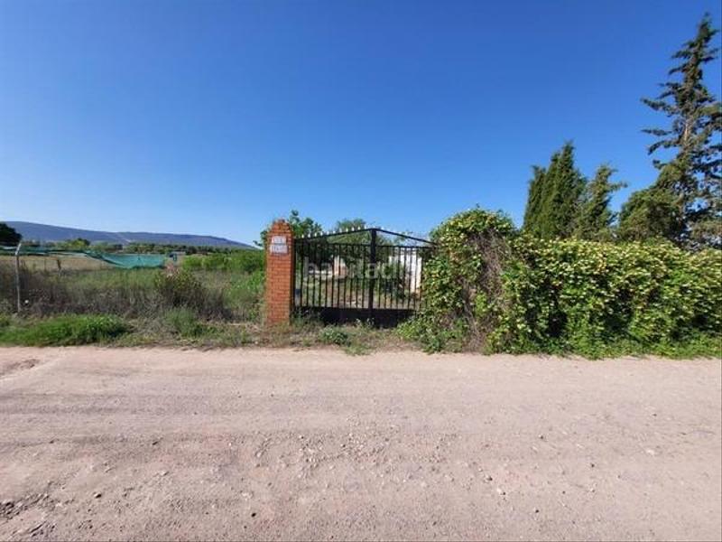 Foto c3042c96-c6db-4b6b-95da-90501ace9e71. Maison dans Argamasilla de Calatrava