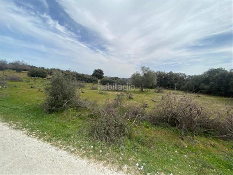 Foto a95862db-1d6e-49eb-b414-da6d9a6492bf. Casale in Cenicientos