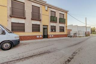 Flat in Miguel Esteban