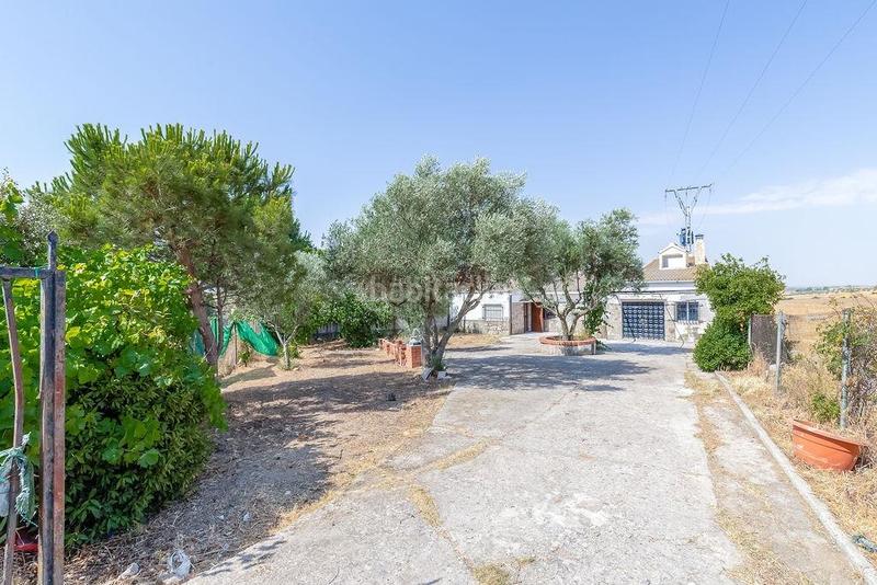 Foto 0d0179fd-b68e-4300-b97c-9f7e2d2c57ed. Casa en Lominchar