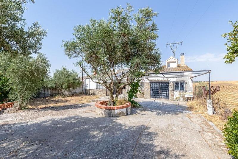 Foto 6e64d451-592a-43f5-8ec5-57f29a30a516. Casa en Lominchar