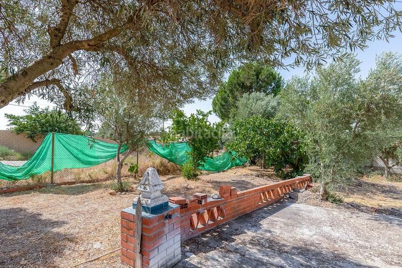 Foto cba84e75-55b2-4699-a15b-6e9b259cb8cc. Casa en Lominchar