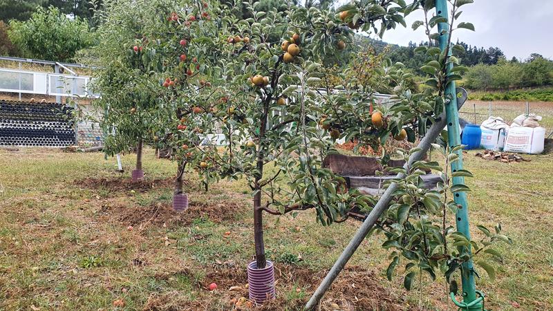 Foto 67c24d91-28d5-40ae-a5c2-935018a91093. Chalet con camino parcheggio in Vega de Espinareda