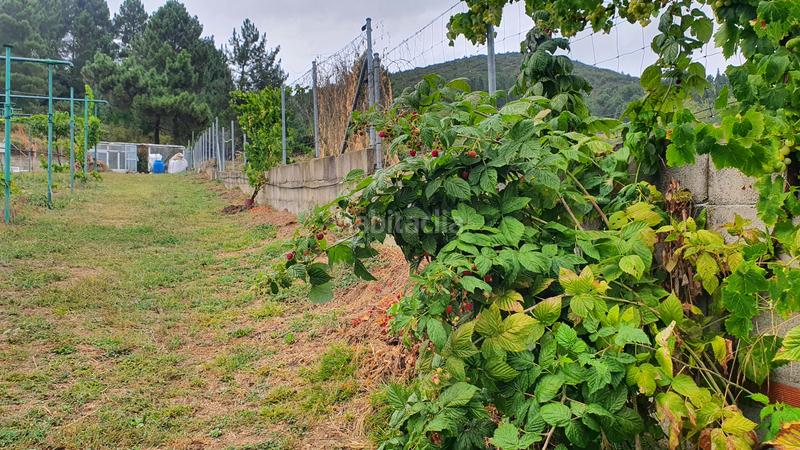 Foto 7c30e091-d7d9-4835-b081-46d5acf40325. Chalet con camino parcheggio in Vega de Espinareda