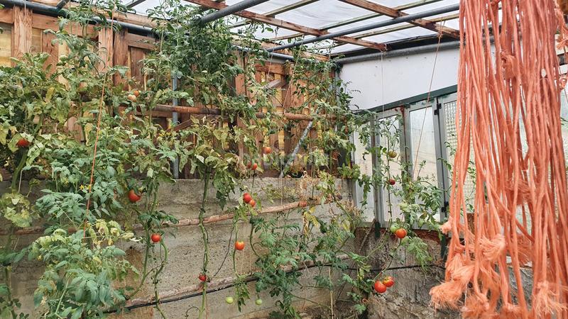 Foto 91929db7-039d-4d8a-8ff9-c081fca50660. Chalet con camino parcheggio in Vega de Espinareda