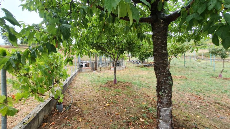 Foto eb275d79-9d2c-47b4-b66c-380e99a4fb33. Chalet con camino parcheggio in Vega de Espinareda