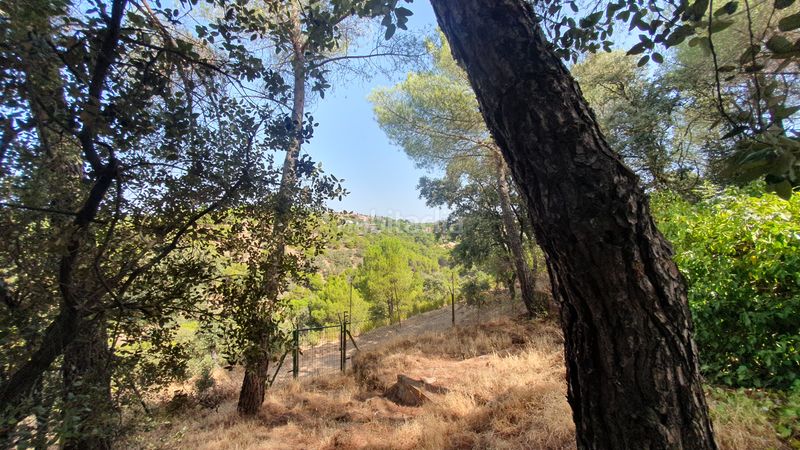 Foto 2baea369-1432-4a91-b97f-c279ccd92c5b. Rent chalet with fireplace heating parking pool in Valdemorillo