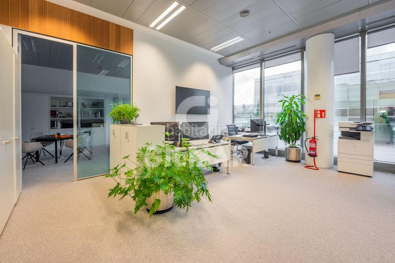 Foto 46e66d05-64da-43b9-9f89-1a3410a033eb. Miete büro in La Finca Pozuelo de Alarcón