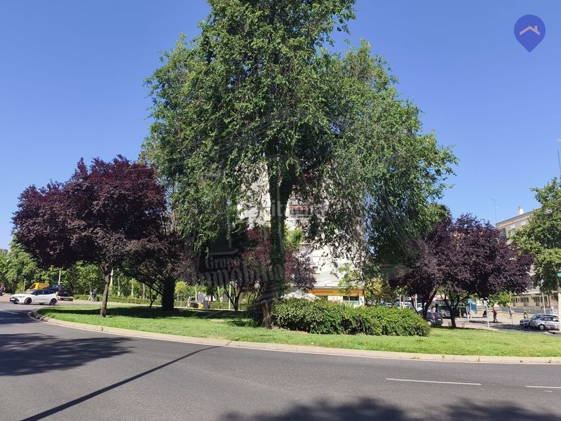 Foto 0787b7ec-ee3e-497b-b006-24d9bddd45f4. Pis amb calefacció a Los Rosales Madrid