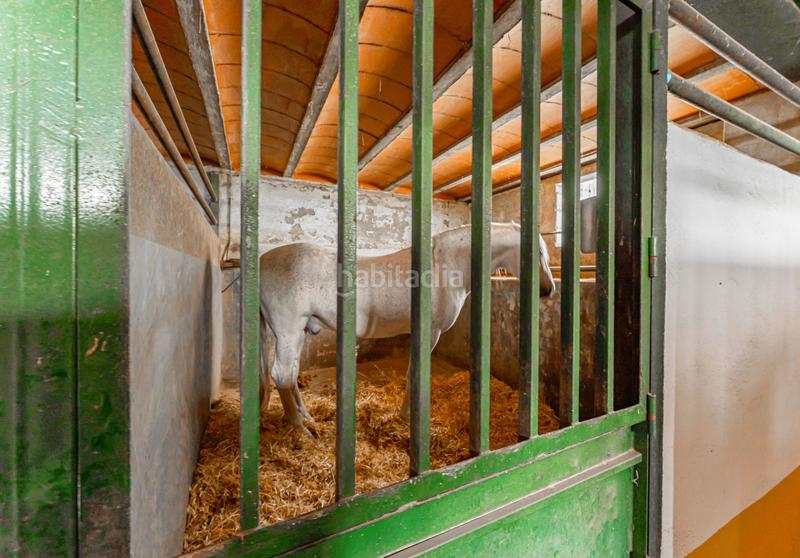 Foto 0f10fa60-d932-4f68-a52f-204bf3d78389. Masia amb aparcament piscina a Buenavista-Valparaíso-La Legua Toledo