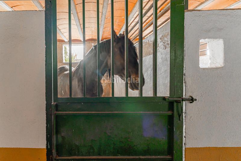Foto 3f067ddf-793b-44f1-9a6a-ec5de3bf9adf. Masia amb aparcament piscina a Buenavista-Valparaíso-La Legua Toledo
