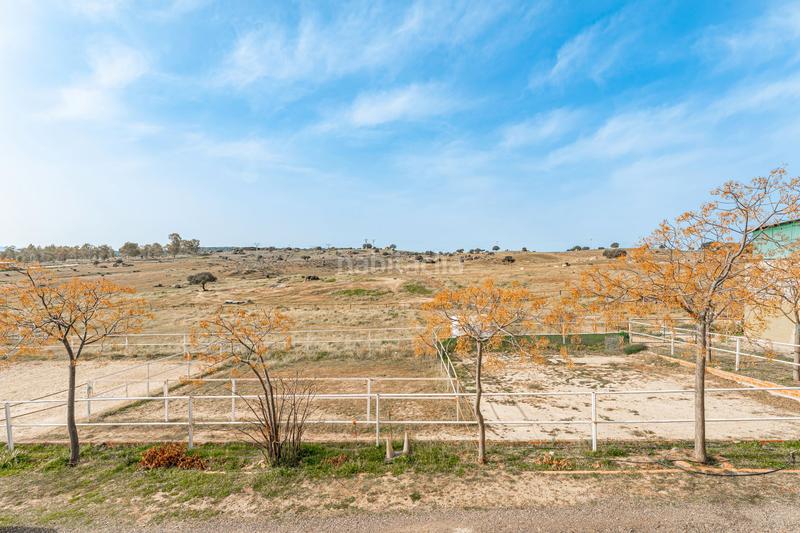 Foto 5a6421f3-a5b4-445c-80ff-a284a4a4c192. Masia amb aparcament piscina a Buenavista-Valparaíso-La Legua Toledo