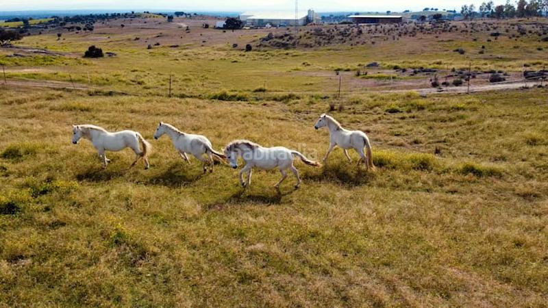 Foto 641fecb4-e921-4e5e-b8d5-0403e423fcaf. Masia amb aparcament piscina a Buenavista-Valparaíso-La Legua Toledo