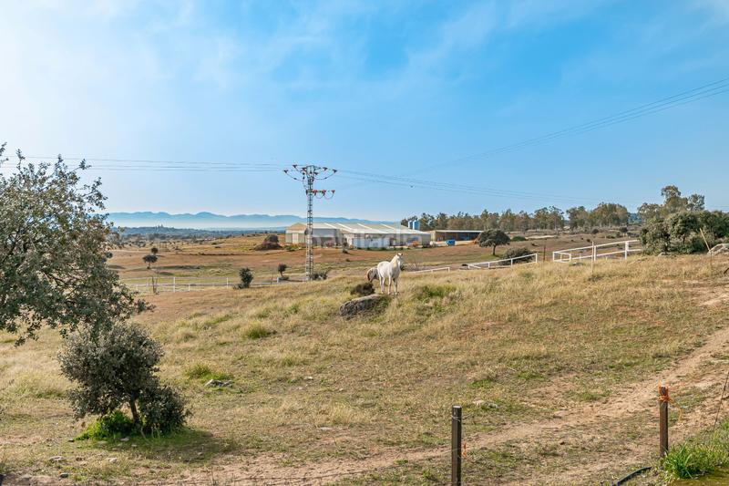 Foto 95d877cd-596b-4333-80de-704ae1f95c5c. Masia amb aparcament piscina a Buenavista-Valparaíso-La Legua Toledo