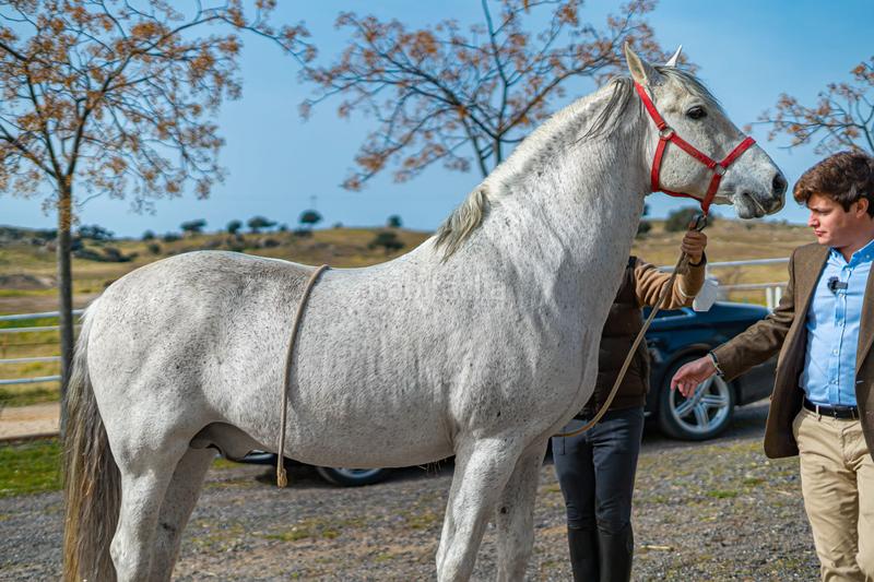 Foto b78e93b0-da04-40bf-929d-8e6084a7c4ab. Masia amb aparcament piscina a Buenavista-Valparaíso-La Legua Toledo