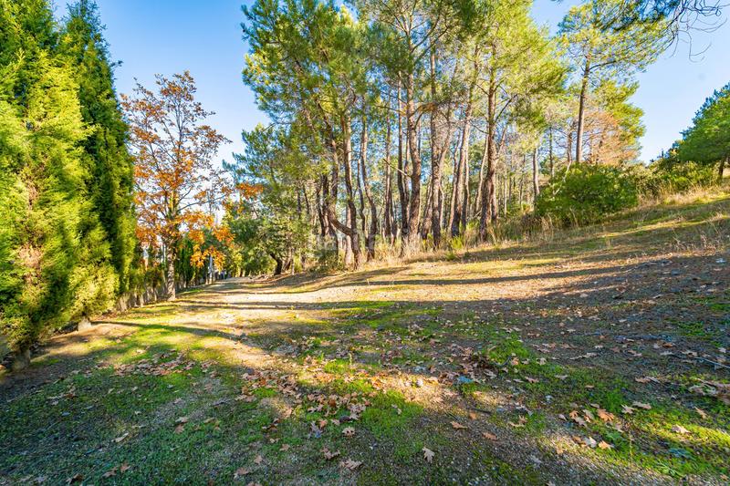 Foto 2f966c42-7018-44c5-907e-7b29408ef1f7. Mas avec chauffage parking piscine dans Guadarrama