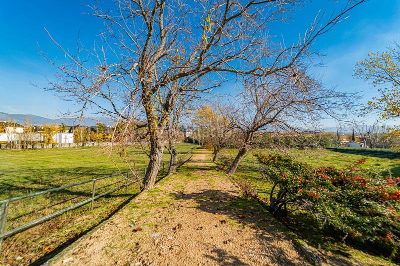 Foto 5179efa0-85cf-4ff1-82e1-cd9dd486e379. Mas avec chauffage parking piscine dans Guadarrama