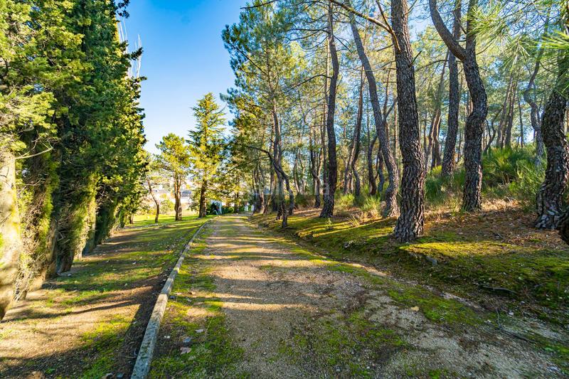 Foto 6692a509-a13b-48d4-a8e6-fd6e7eac760a. Mas avec chauffage parking piscine dans Guadarrama
