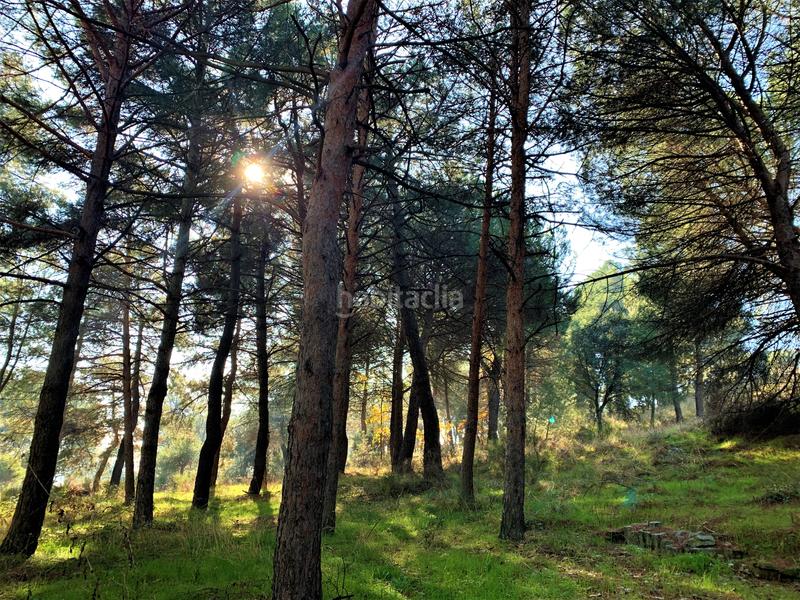 Foto ae32c501-1014-4b56-b33d-8c895710e9d0. Mas avec chauffage parking piscine dans Guadarrama