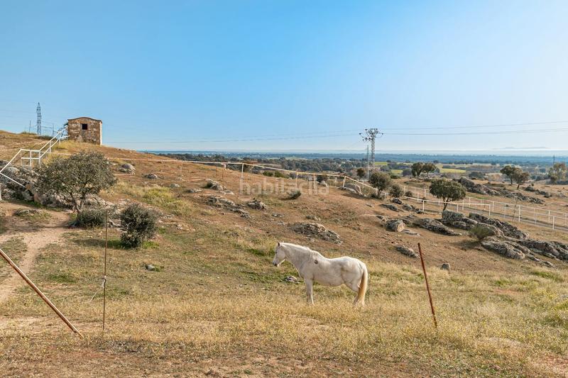 Foto a695faf8-6d6a-4ed3-868c-03b66283cc6e. Lloguer masia amb xemeneia a Buenavista-Valparaíso-La Legua Toledo