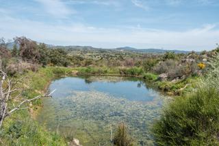 Mas à Almorox. Finca rústica excepcional a 1 hora de madrid – naturaleza, encan