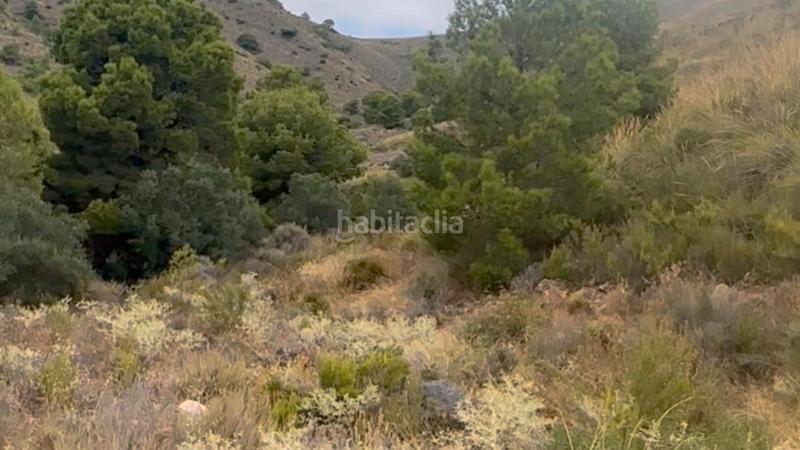 Foto 222b40ee-8e3d-4d7f-9d27-7908c6d375b7. Casale con parcheggio in La Hoya Lorca