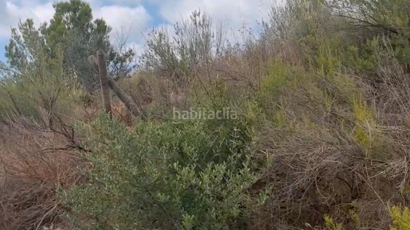 Foto ae02b3ca-a628-4ca3-8e6f-30c96c7efd55. Casale con parcheggio in La Hoya Lorca