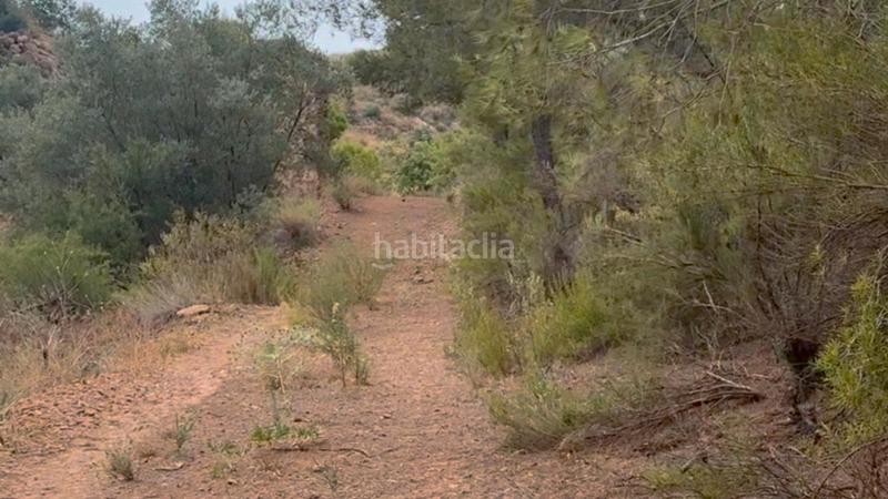 Foto b092961b-642d-43e0-9fec-67171cb626e2. Casale con parcheggio in La Hoya Lorca