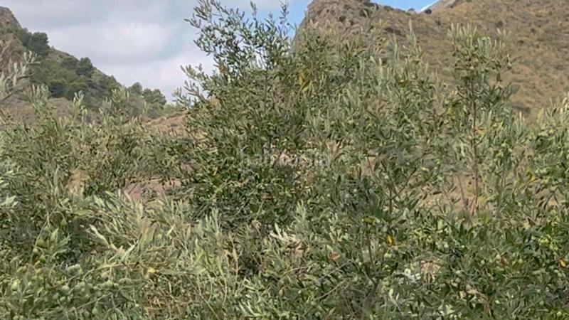 Foto ca151abf-d690-4472-aab8-1e4841fd114a. Casale con parcheggio in La Hoya Lorca