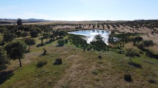 Masía en Paymogo. Espectacular finca de 88ha de pastos con cortijo y naves a 40 mi